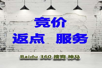 百度推广在电商行业的应用案例分析